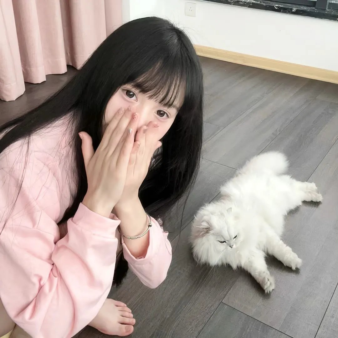 百战雄狮