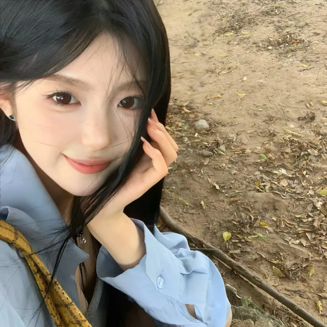 菊石