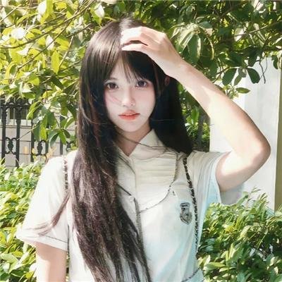 林中野兽